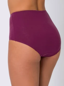 Slip taille haute lot de (3 pièces)